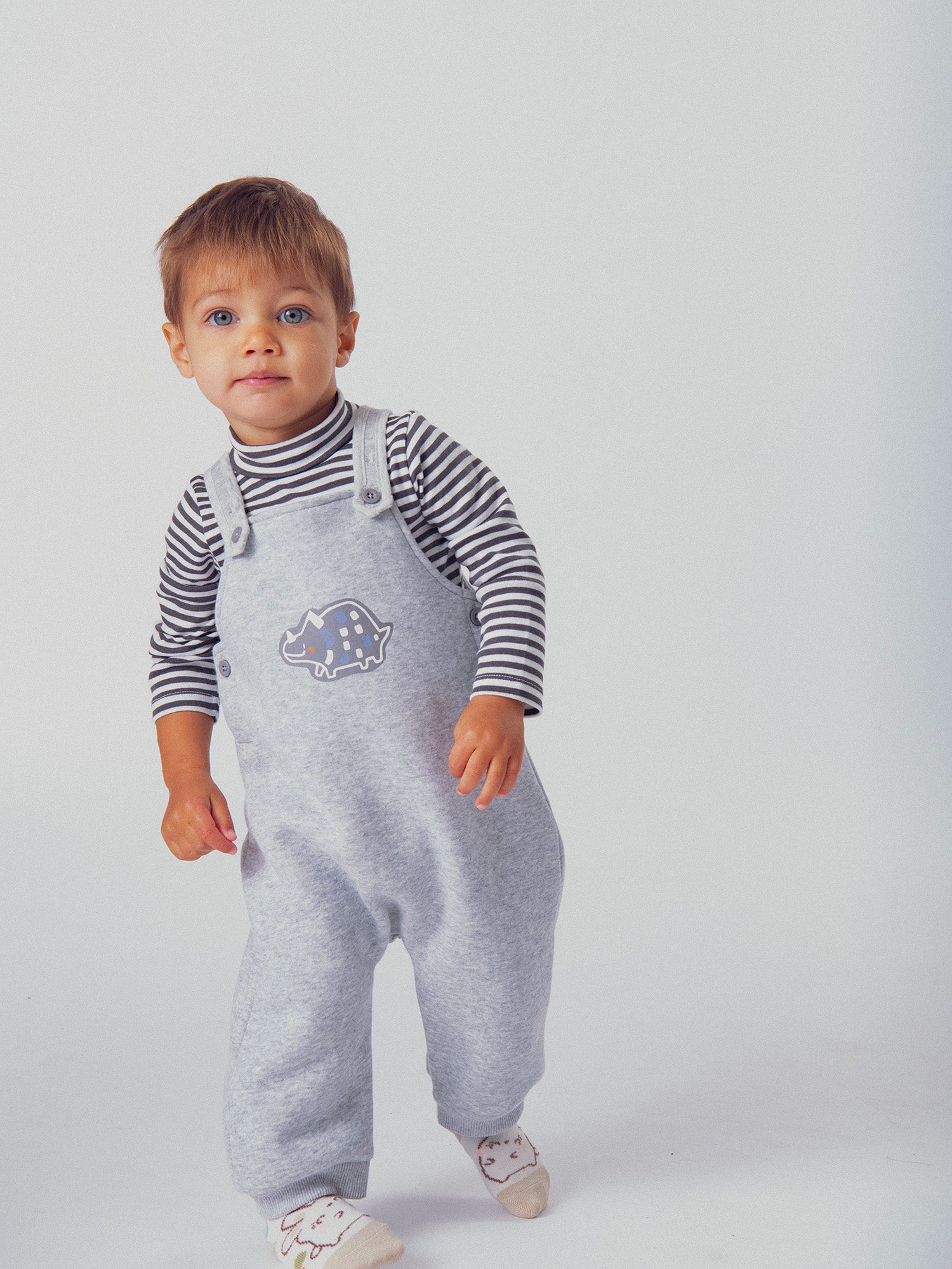 Sala dinossauro para menino bebé