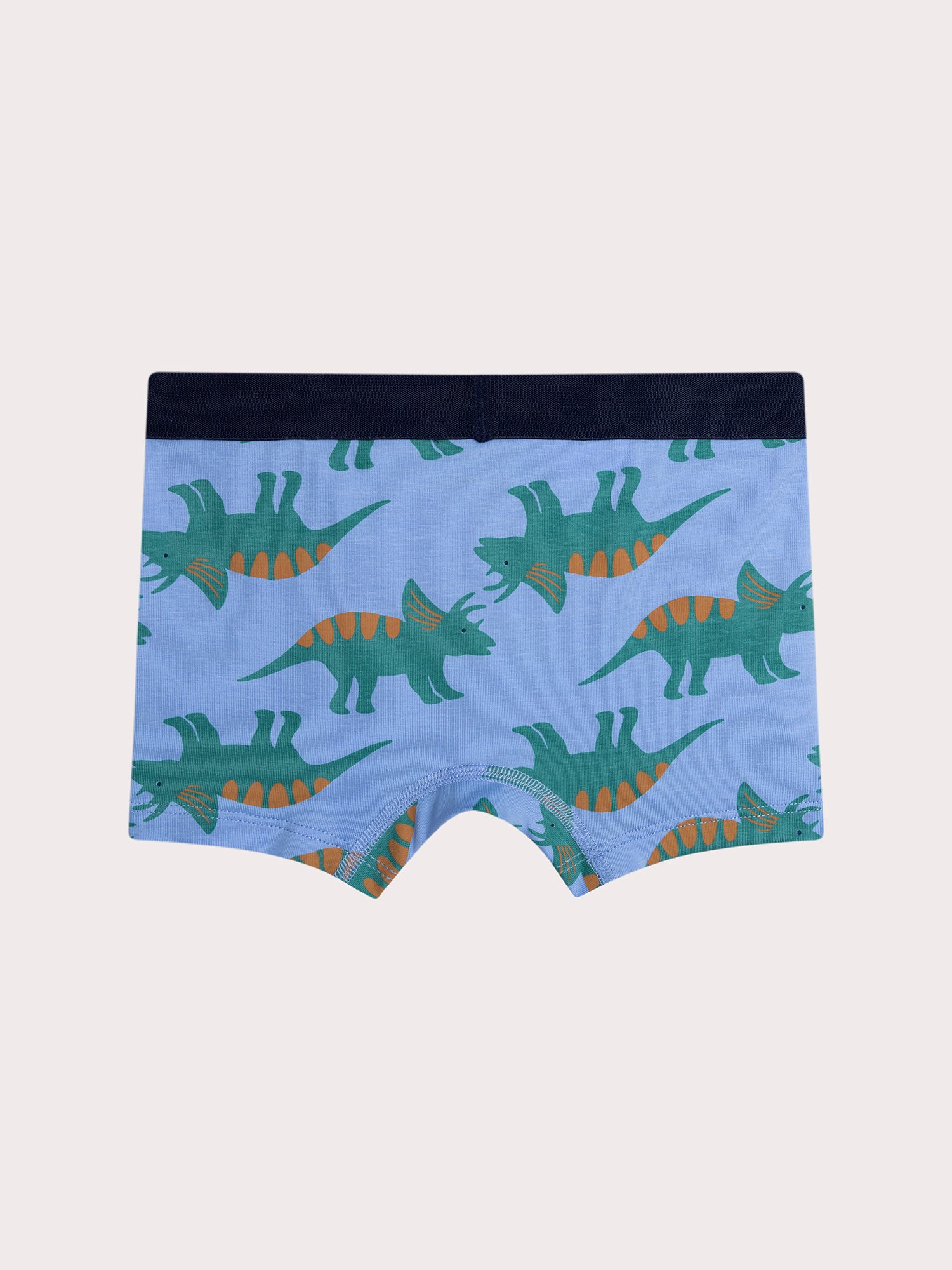 Conjunto de 4 boxers dinossauros para menino