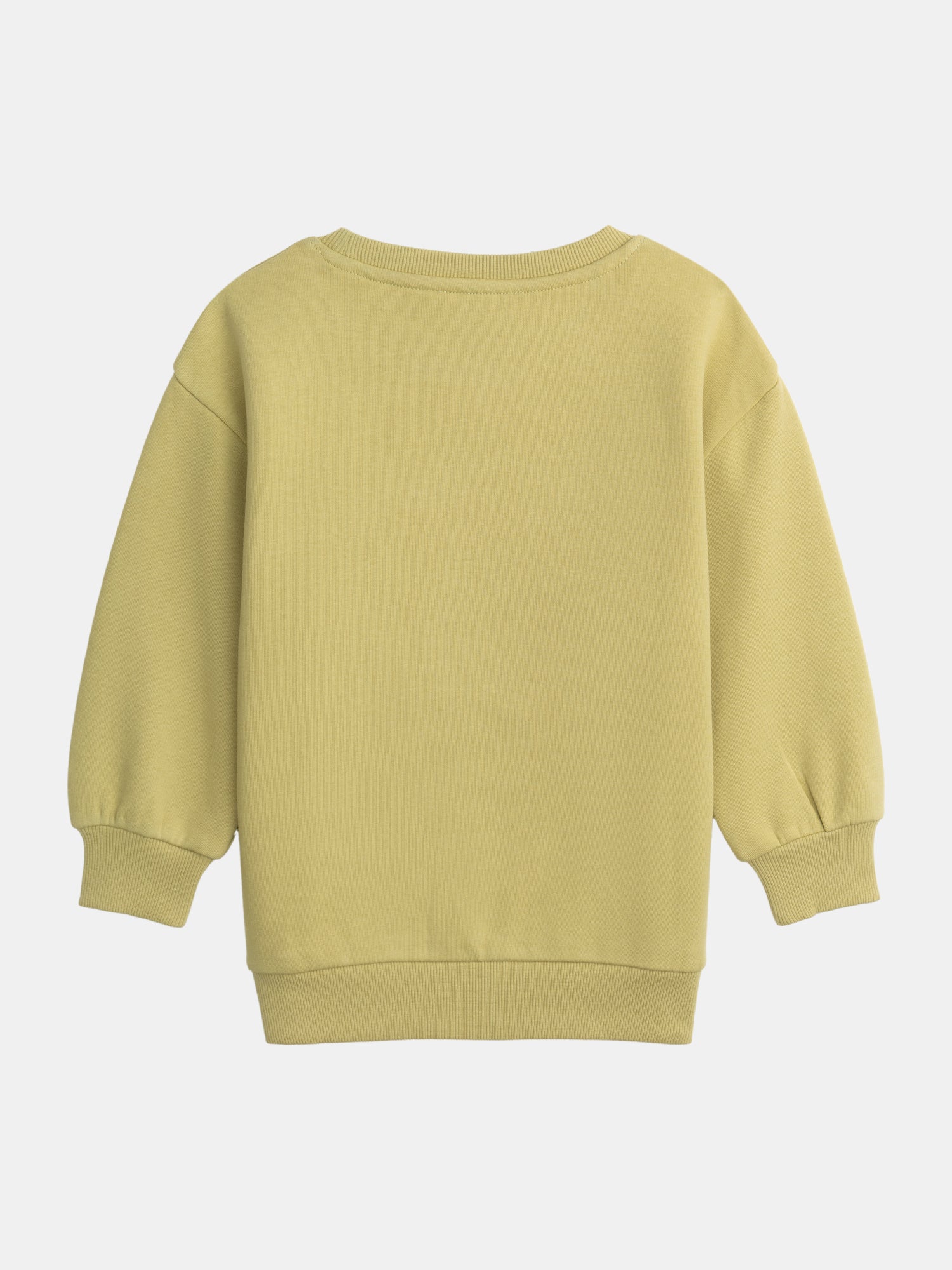 Sweatshirt Verde com Animação de Tigre para Rapazes