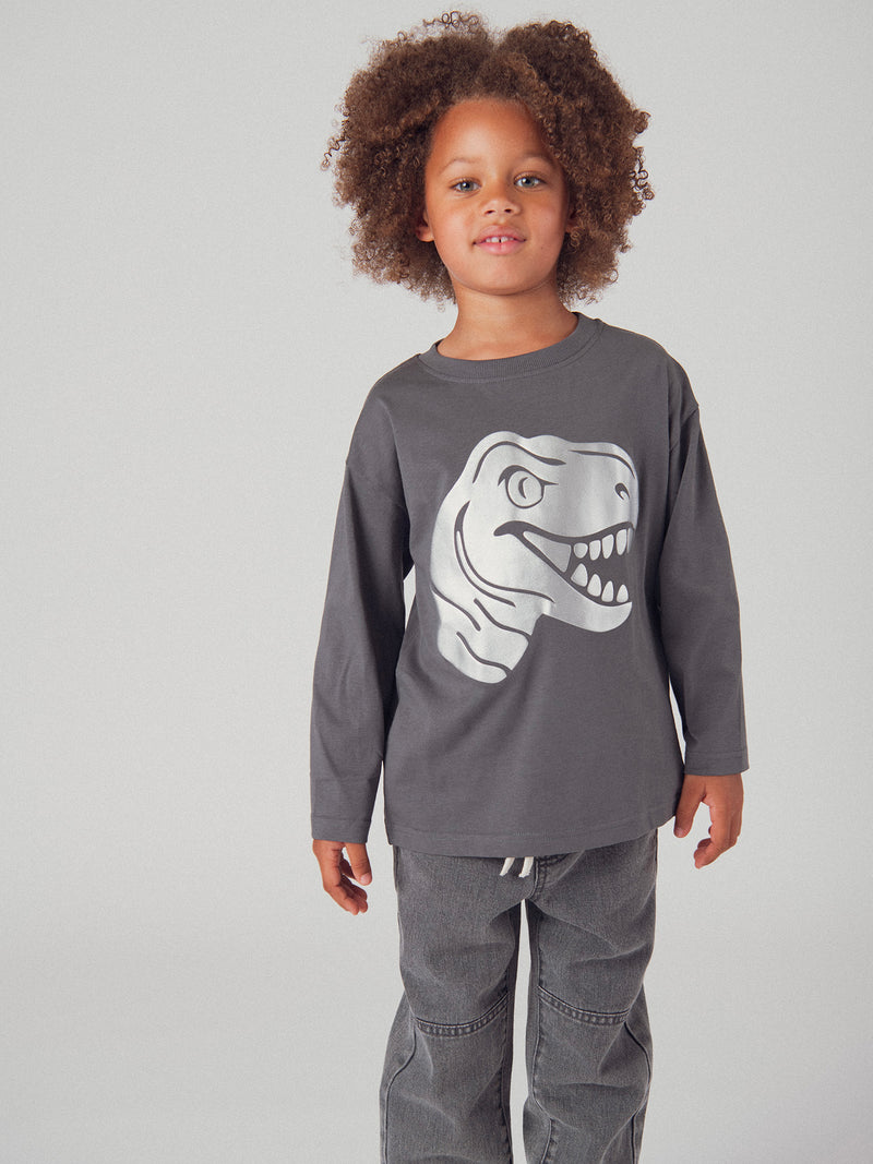 T-shirt cinza de mangas longas com animação de cabeça de dinossauro para garoto