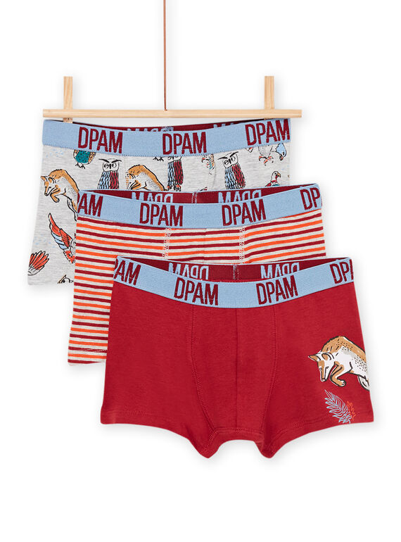 Pack de 3 boxers a condizer PEGOBOXANI / 22WH1244BOX719
