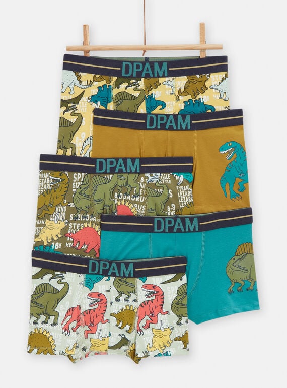 Pack de 5 boxers multicores com padrão e estampado de dinossauros menino TEGOBOXSEM2 / 24SH1263BOXC239