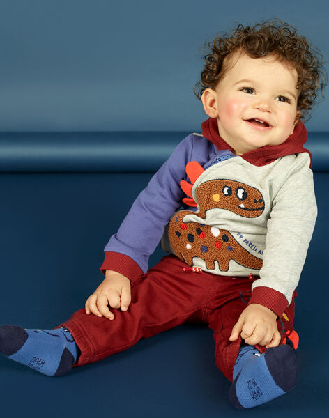 Gilet A Capuche Tricolore A Motif Dinosaure Bebe Garcon Pull Sweat Gilet Bebe Dpam