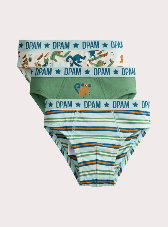 Conjunto de 3 cuecas com estampa de anamalier para menino  VEGOSLIJUN / 24WH1282D5L204