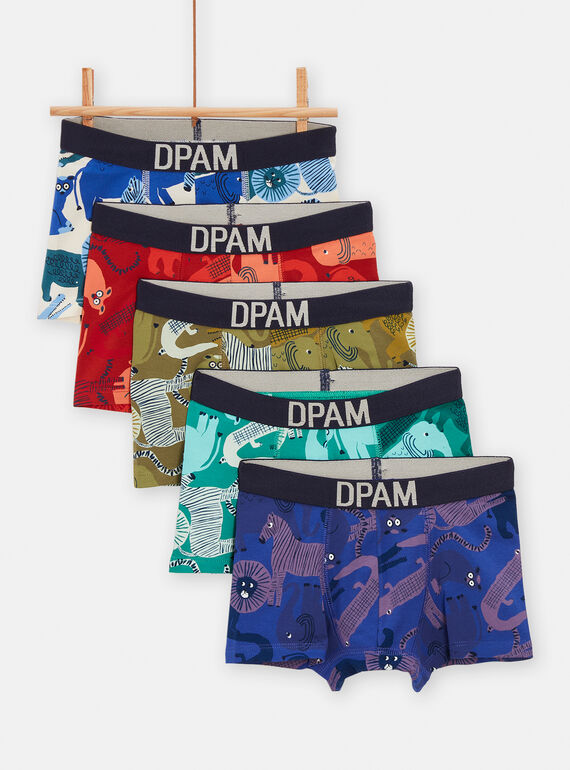 5 boxers multicores com estampado de animais menino TEGOBOXSEM1 / 24SH1261BOXC214
