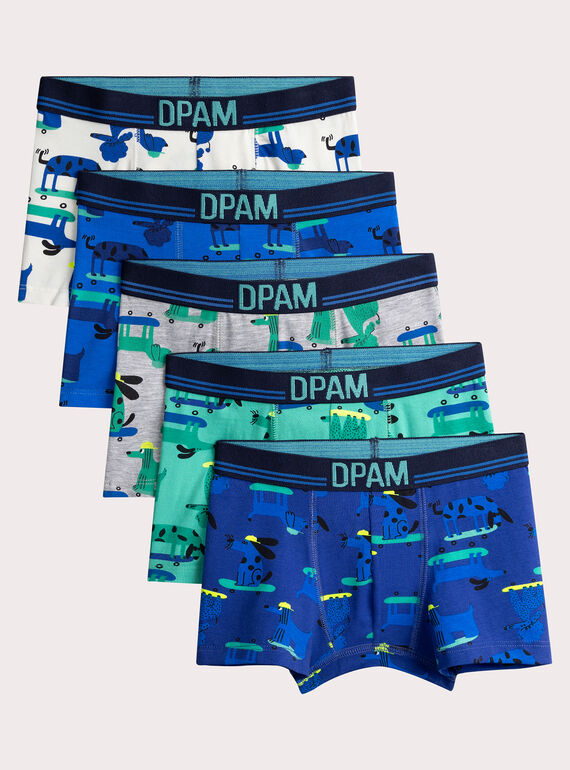 Conjunto de 5 cuecas com estampa de cachorro para menino  VEGOBOXSEM2 / 24WH1281BOXC214